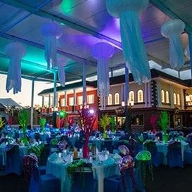 SEA WORLD TAKES CORPORATE CHRISTMAS UNDER THE SEA SEA WORLD TAKES CORPORATE CHRISTMAS UNDER THE SEA